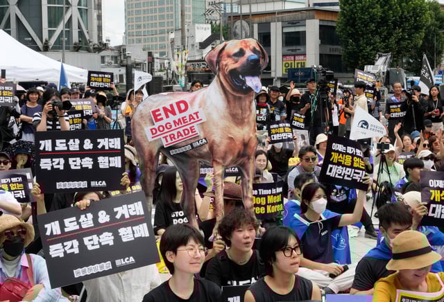 Animal rights activists stage a rally in Seoul last year opposing South Korea’s traditional culture of eating dog meat. Photo: AP