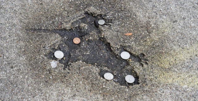 Chicago Rat Hole