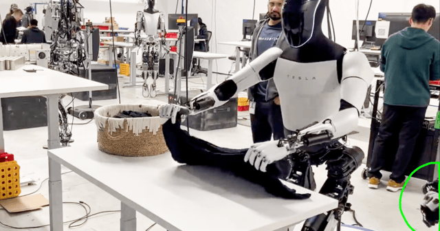 Tesla's Optimus humanoid folds laundry... With a telltale telepresence glove poking into frame to signal that a human is driving it