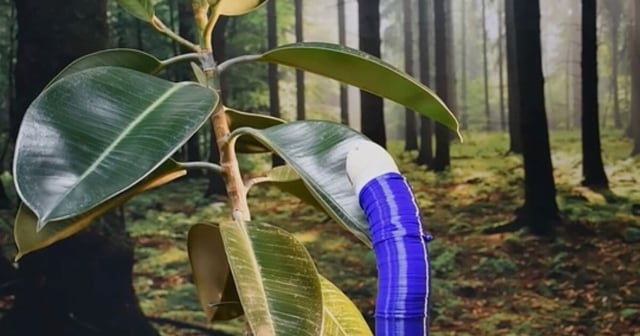 The FiloBot – one day to be exploring another planet not-so-near you?