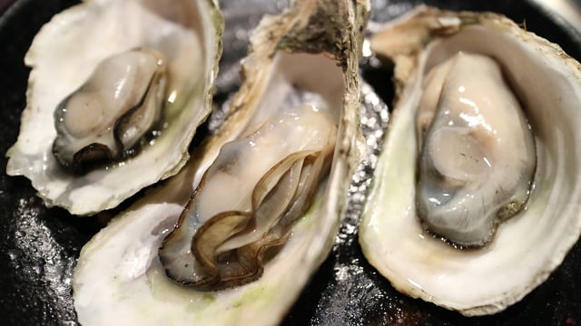 Oysters. Photo credit: Yung-pin Pao from Pixabay