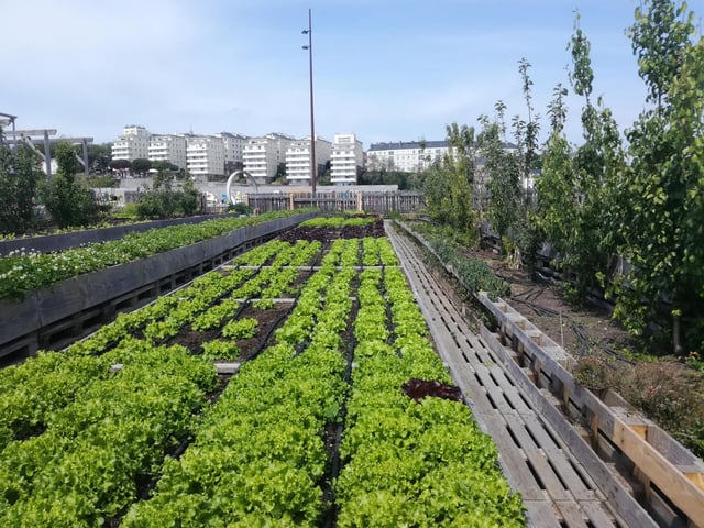 Urban garden in Nantes, France. Credit: Baptiste Grard