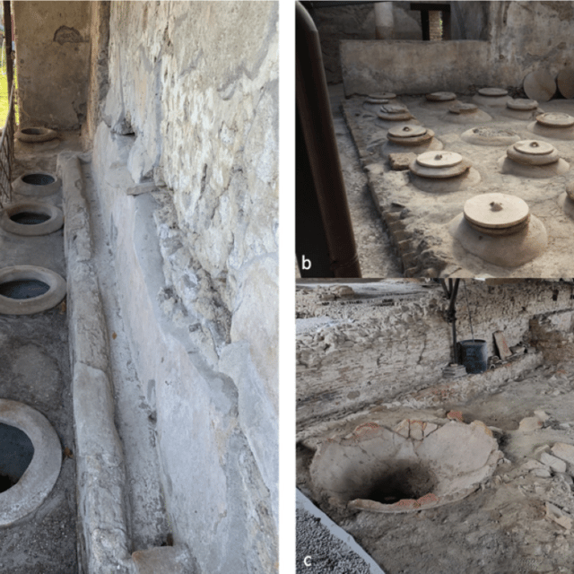 A photo shows dolias in the ground. This is how they would have been stored during the fermentation process.