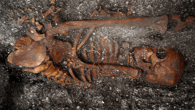 2,000-Year-Old Bones In Brazil Shed Light On The Family Tree Of Syphilis