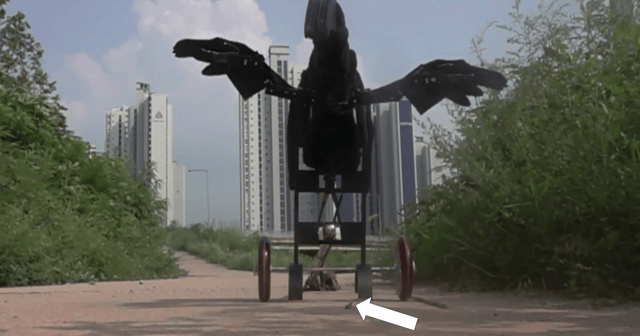Robopteryx, a robotic version of a dinosaur called Caudipteryx, performs a "flush-pursuit foraging" display to try to spook a grasshopper (arrow), which may have been a common hunting technique