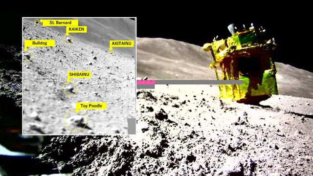 grey rocks on the dusty surface of the moon