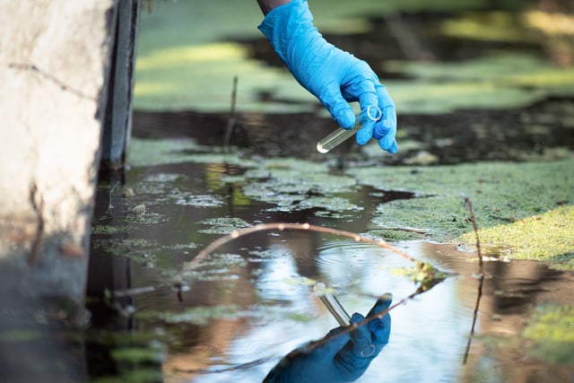 Water pollution