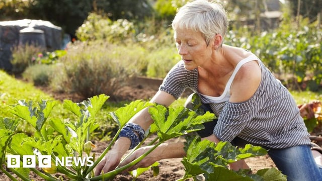Pensioner gardening