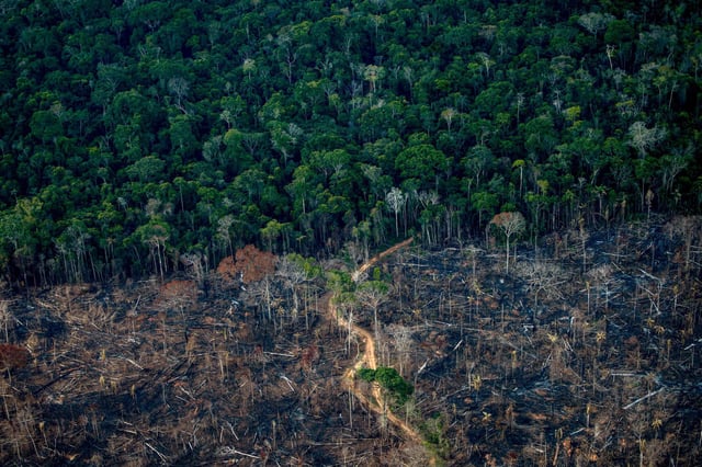 A deforested area of Amazonia rainforest in Labrea, Brazil, on Sept. 15, 2021.
