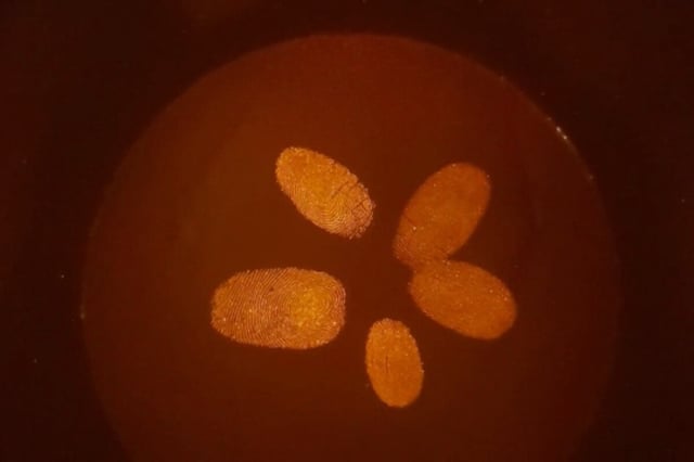 Fingerprints lifted via the spray, nicely arranged to look (kind of) like a jellyfish