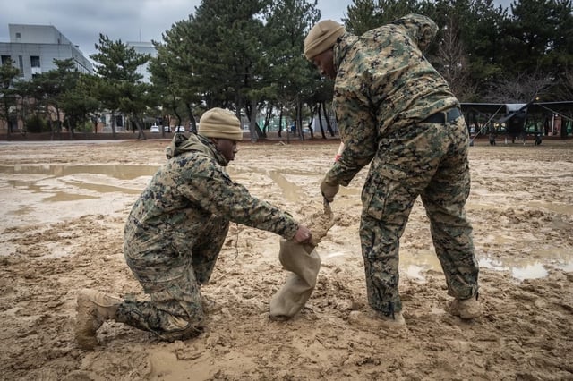 U.S. Marine Corps Cpl. Jamyrion V. Stewart, left, and Sgt. Frederick B. Osei, both administrative clerks with Headquarters Company, Headquarters Battalion, 1st Marine Division, fill sandbags while building a combined command post in preparation for Freedom Shield 24 in Pohang, South Korea, Feb. 25, 2024. FS 24 is a defense-oriented exercise designed to strengthen the ROK-U.S. Alliance, enhance the combined defense posture, and further strengthen security and stability on the Korean peninsula. Stewart is a native of Louisiana, and Osei is a native of Ghana. (U.S. Marine Corps photo by Staff Sgt. Amanda R. Taylor)