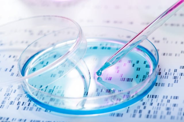 Stem cells in lab