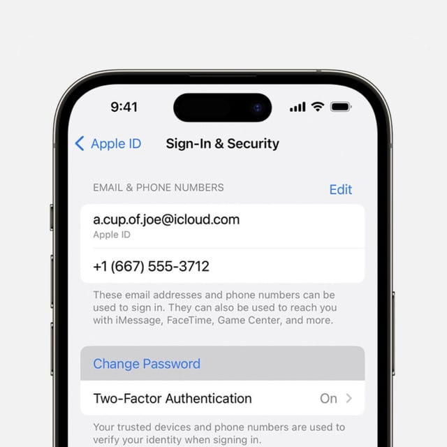 If the hackers have your email and phone, that might be enough to initiate this attack. 