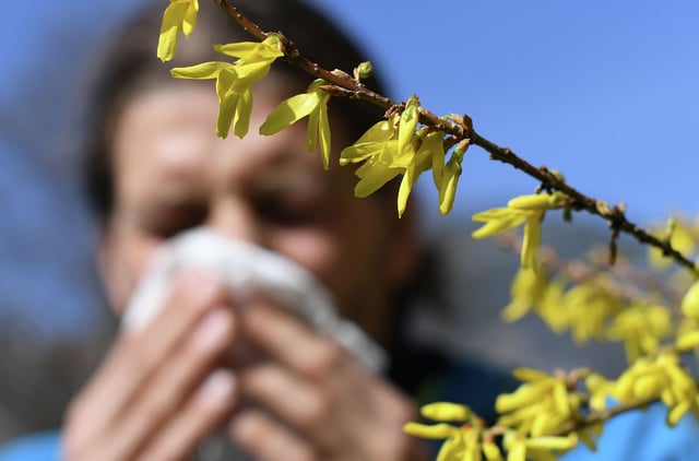 “We’re seeing things start earlier and earlier, and being a little more intense than what we’ve seen in the past,” says Dr. Jyothi Tirumalasetty, a clinical assistant professor of allergy and immunology at Stanford.