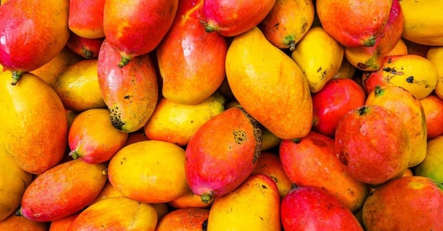 Photo by <a href="https://unsplash.com/@alschim?utm_content=creditCopyText&utm_medium=referral&utm_source=unsplash">Alexander Schimmeck</a> on <a href="https://unsplash.com/photos/yellow-and-red-fruit-lot-vTXtQ8ZBzvY?utm_content=creditCopyText&utm_medium=referral&utm_source=unsplash">Unsplash</a>