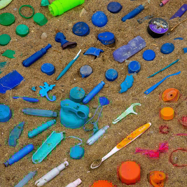 Photo of plastic collected during a community cleanup and sorted by colour.