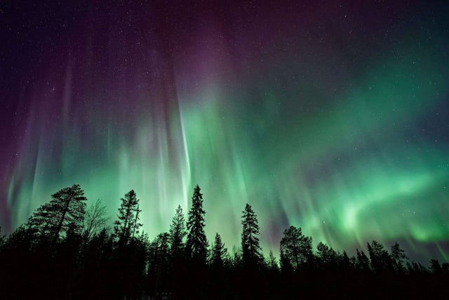(Image: Unsplash)