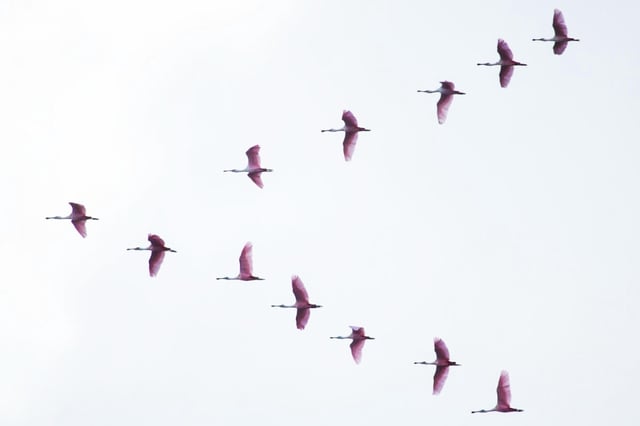 Photo by Julia Craice from Unsplash