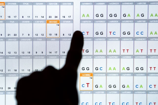 The result of a DNA sequence analysis in the DNA laboratory of the Bavarian State Criminal Police Office in Bavaria, Munich, Germany, on Sept. 20, 2019.