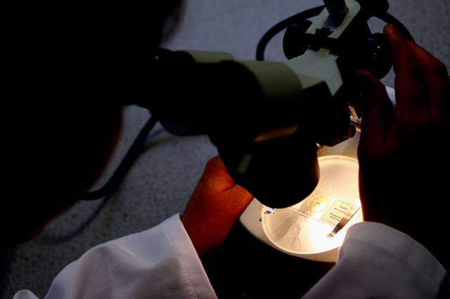 In this file photo, a student examines matter under a microscope. New research has found that a male contraceptive gel takes effect sooner than similar methods for male birth control.