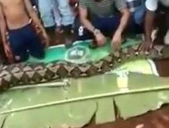 It Could Always Be Worse: A Python Swallowed A Woman Whole In Indonesia