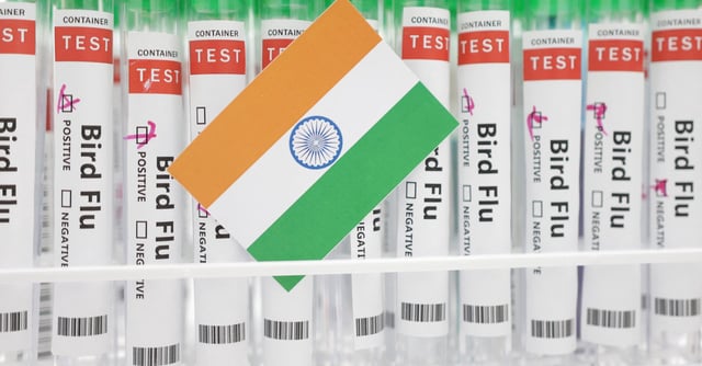 Test tubes labelled "Bird Flu" and a piece of paper in the colours of the Indian national flag are seen in this picture illustration, January 14, 2023. REUTERS/Dado Ruvic/Illustration/File Photo