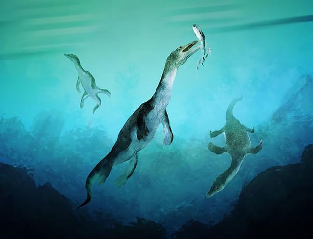 Reconstruction of the oldest sea-going reptile from the Southern Hemisphere. Nothosaurs swimming along the ancient southern polar coast of what is now New zealand around 246 million years ago. Artwork by Stavros Kundromichalis.