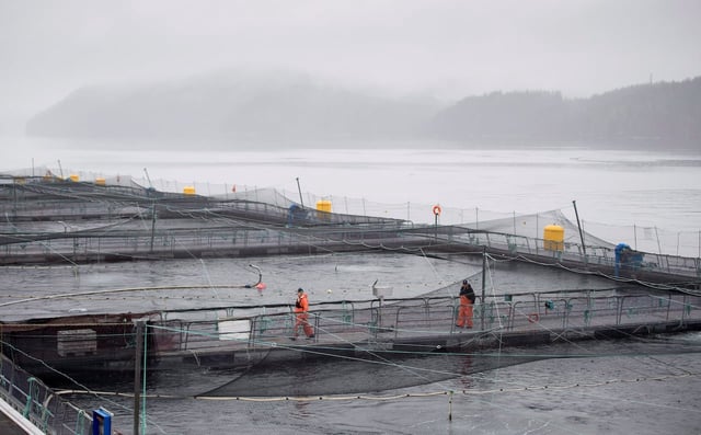 Fish Health Audit 20181101