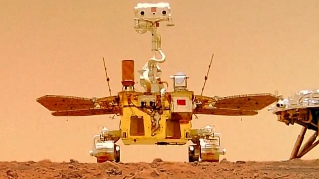 The study by researchers from the Chinese Academy of Sciences found that a desert moss is a promising candidate for Mars colonisation, thanks to its ability to survive and maintain vitality in simulated Martian conditions. Photo: Handout