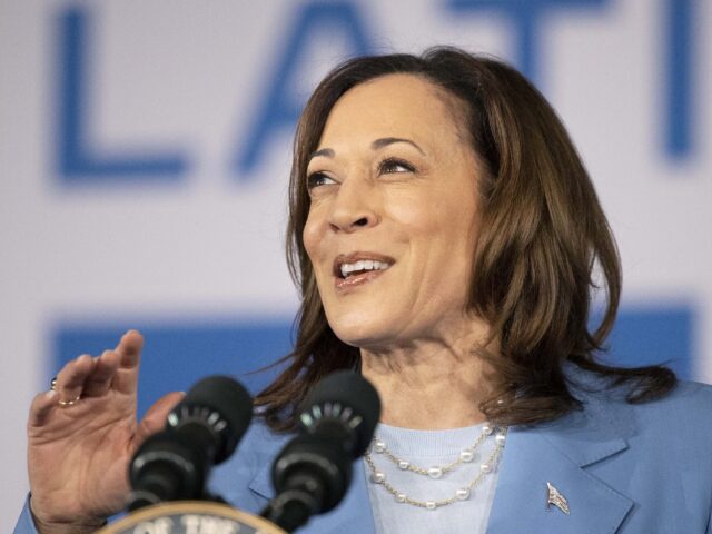 Vice President Kamala Harris speaks during a post debate campaign rally, Friday, June 28, 2024, in Las Vegas. (AP Photo/Ronda Churchill)