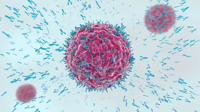 artists impression of antibodies attacking virus
