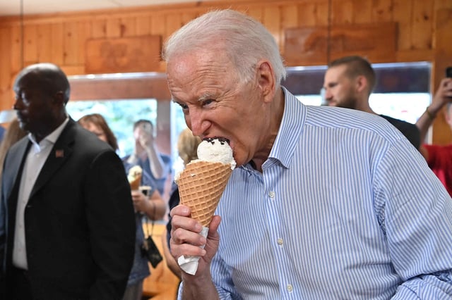 Joe Biden Gaffes Downfall