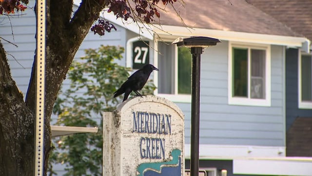 The Kent Police Department (KPD) credited three 11-year-old girls for stopping a kidnapping at a local apartment complex on Tuesday night in Kent, Wash.