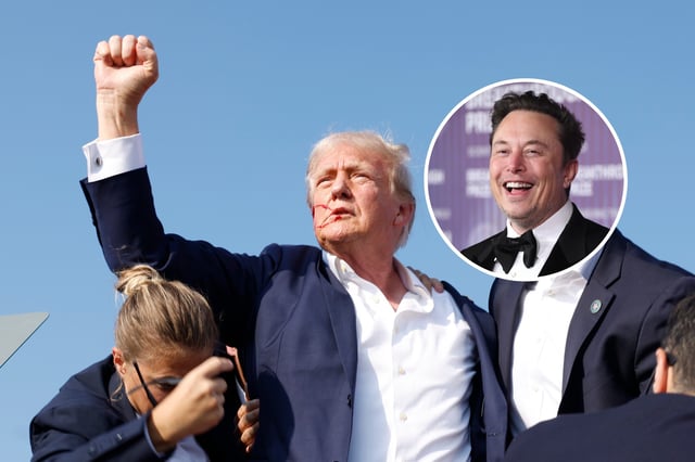 X Twitter Donald Trump Emoji Elon Musk