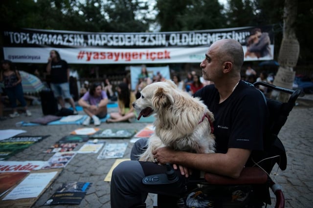 Animal rights activists stage a days-long protest in a public garden in Ankara on Tuesday. The banner reads: “You cannot collect, imprison and kill! #withdraw the legislation.” Photo: AP