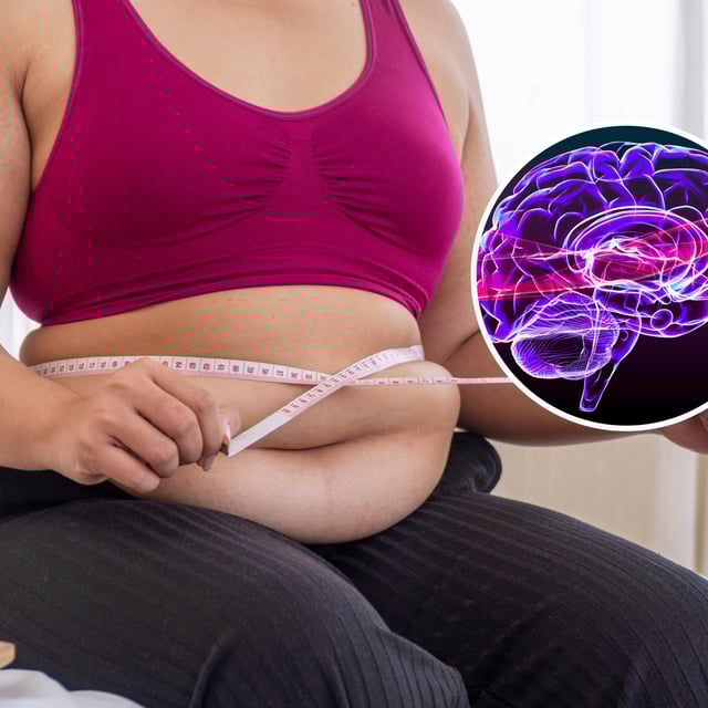 Photo of a woman measuring her waist with an inset of a brain. The distribution of fat around our bodies may be more important in determining our risk of neurological disorders than our overall body weight.