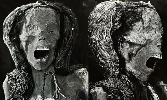 Only a few Egyptian mummies have been found with an open mouth. A new study suggests an ancient Egyptian woman whose mummified remains were discovered in the 1930s may have died violently.