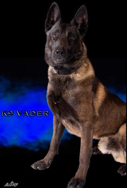 Arnold Police Department K-9 Vader