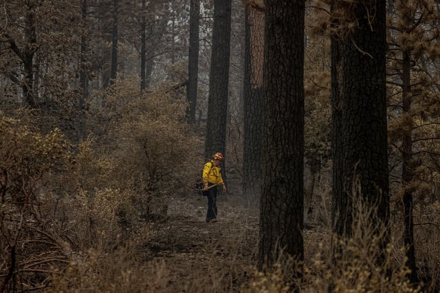 A firefighter checks for hot spots Saturday during the Park Fire in Paynes Creek (Tehama County).