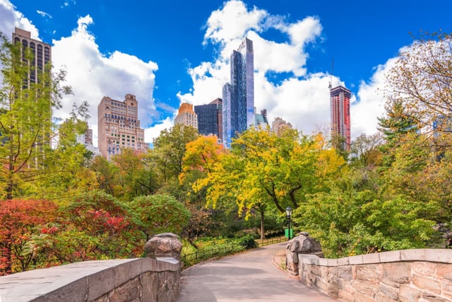 Central Park trees in autumn. (Photo by Sean Pavone on Shutterstock)