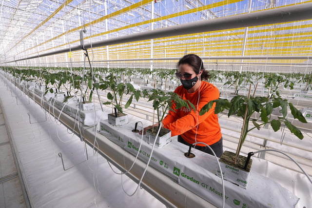 AppHarvest launched in Morehead, Kentucky, in 2018.