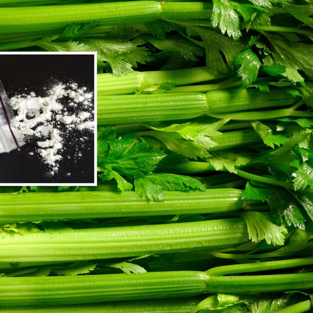 celery/meth