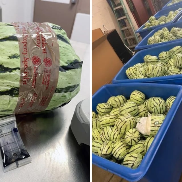 U.S. Customs and Border Protection (CBP) officers confiscated more than $5 million worth of meth disguised within a shipment of watermelon.