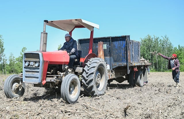 QUE Farm workers 20230604