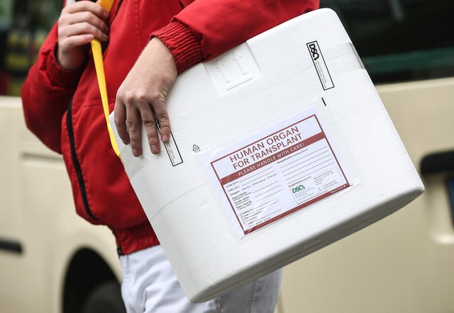 A driver carries an empty styrofoam box used for transporting human organs to his van at the Vivantes Neukoelln clinic on Sept. 28, 2012 in Berlin.