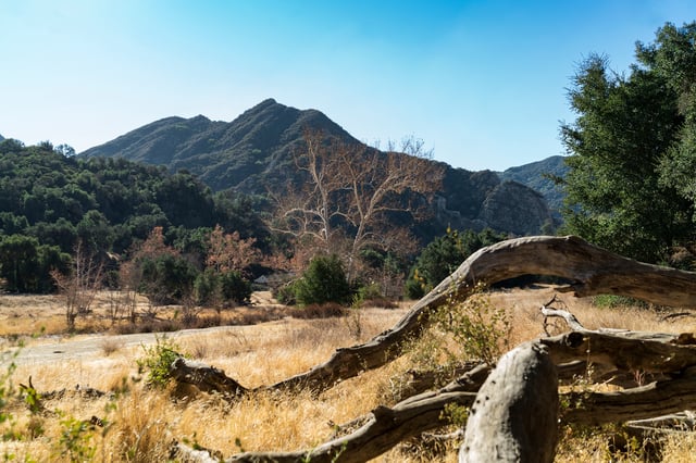 View of a valley in Malibu Creek State Park, Dec. 27, 2017.