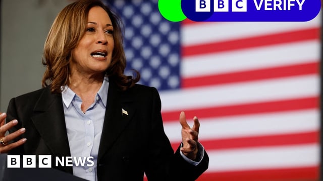 US Vice-President Kamala Harris speaks at a Labor Day event in Detroit, Michigan, on 2 September 2024.