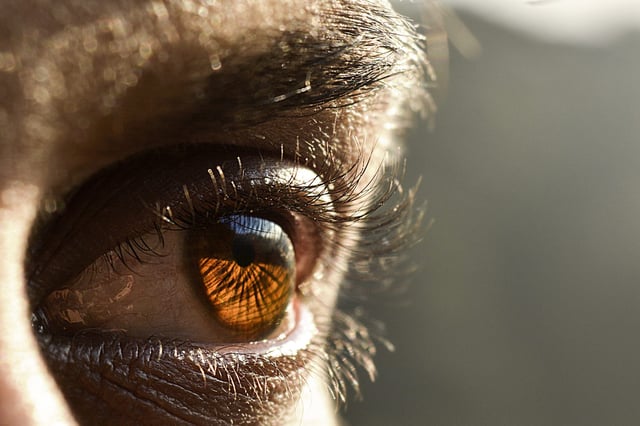 image: ©DigitalSoul | iStock