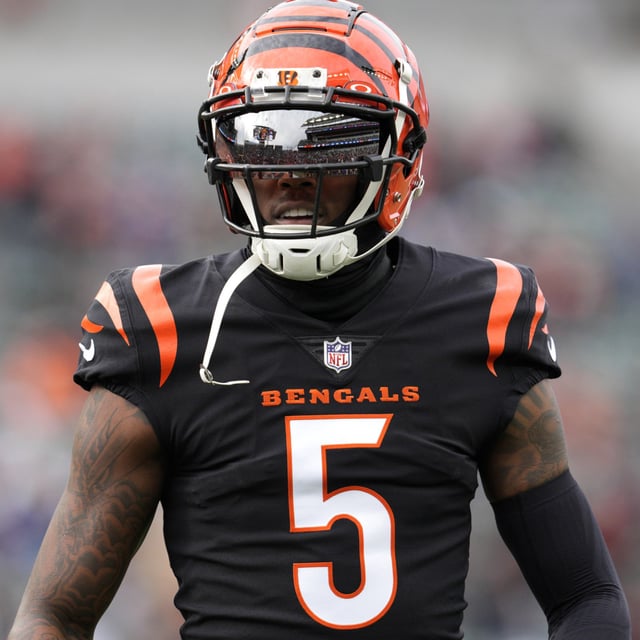 CINCINNATI, OHIO - DECEMBER 16: Tee Higgins #5 of the Cincinnati Bengals warms up before the game against the Minnesota Vikings at Paycor Stadium on December 16, 2023 in Cincinnati, Ohio.

Bengals Tee Higgins calls out fans for claiming he is faking an injury.