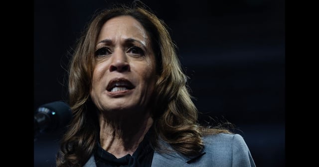 Democratic presidential nominee Vice President Kamala Harris speaks at a campaign rally at the Alliant Energy Center on September 20, 2024 in Madison, Wisconsin. (Scott Olson / Getty Images)
